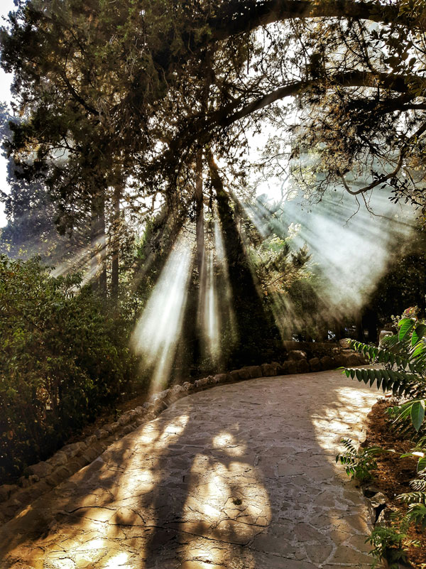 L'Hypnose Ericksonienne